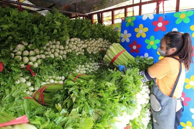 桥西蔬菜中心批发市场:果品蔬菜品种丰富,价格平稳