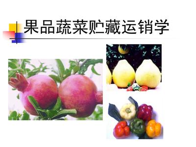 果品蔬菜贮藏运销学第一讲