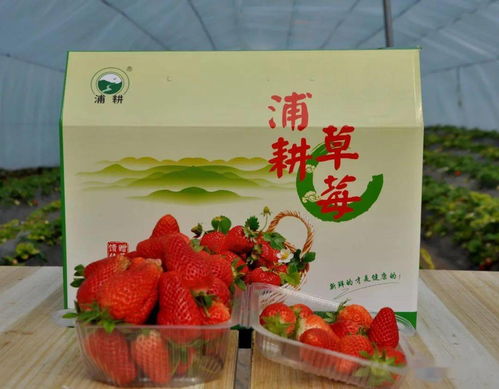 全省大联动 巾帼助消费 洛阳接力中 十