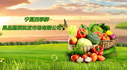 宁夏四季鲜果品蔬菜批发市场