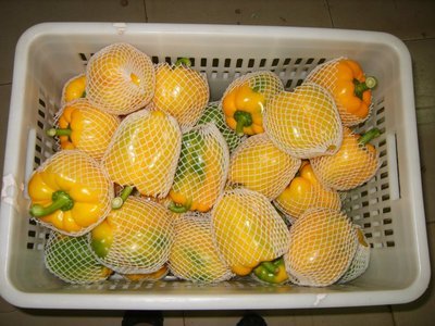 大量供应2013年新鲜五彩椒图片,大量供应2013年新鲜五彩椒图片大全,寿光碧龙蔬菜果品-