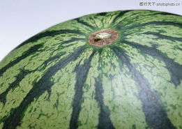 水果蔬菜0155 水果蔬菜图 水果食品图库