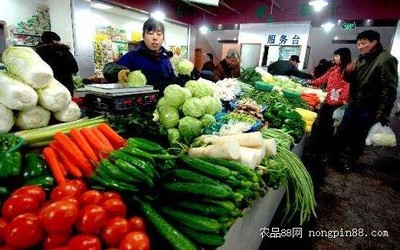 运城蔬菜批发市场/农贸批发市场